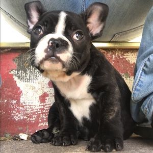 Meet your Posher, Emmaline